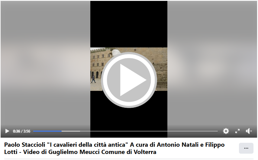 Facebook video